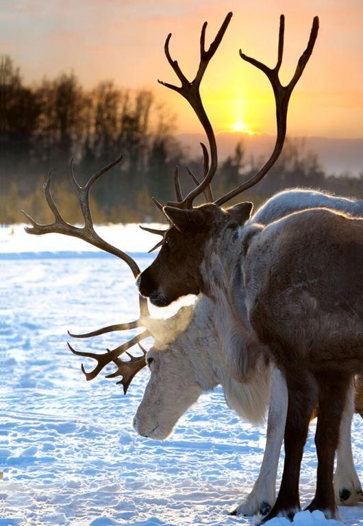 Hotell Funaesdalen المظهر الخارجي الصورة